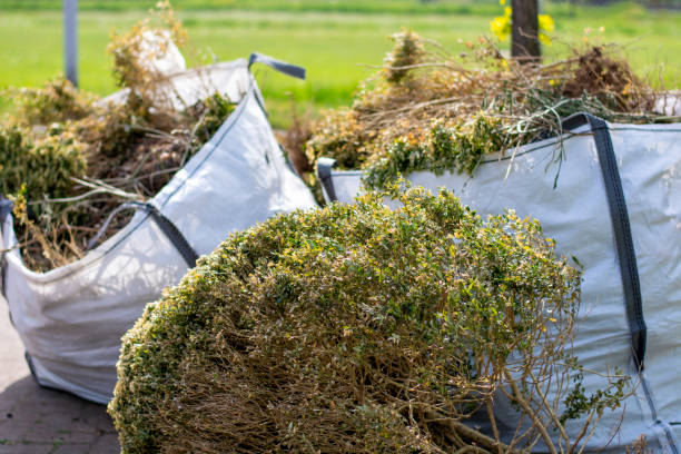 Best Appliance Removal Near Me  in Lakesite, TN